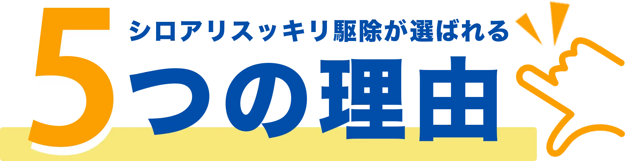 シロアリスッキリ駆除が選ばれる5つの理由